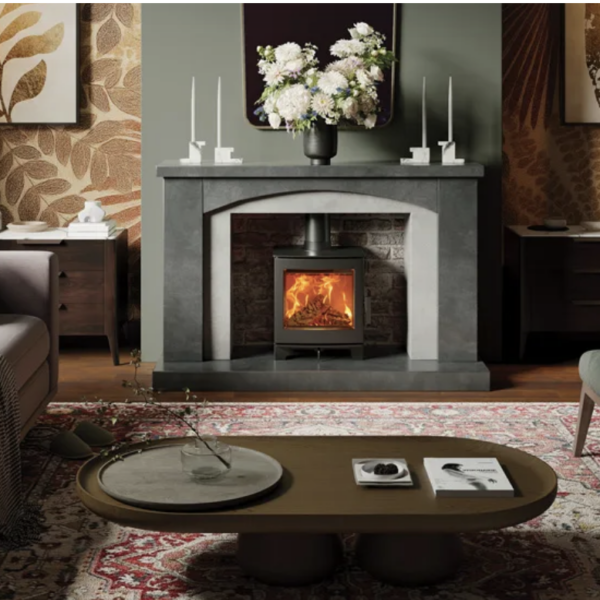 Fire Fx Echo Wood Burning Stove